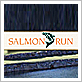 Salmon Run, Brookings